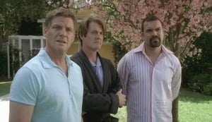 Desperate Housewives: 6×2