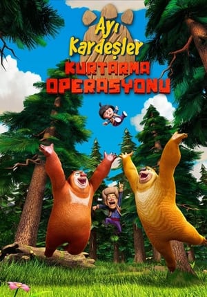 Image Ayı Kardeşler: Kurtarma Operasyonu