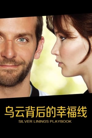 Poster 乌云背后的幸福线 2012