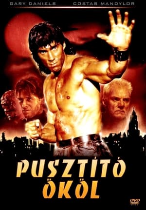 Pusztító ököl (1995)