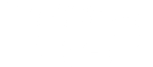 Freedom Fighters: The Ray