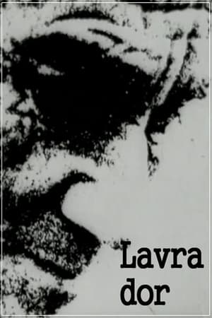 Lavra Dor poster