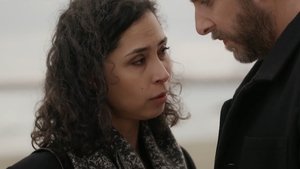 saison 5 épisode 137