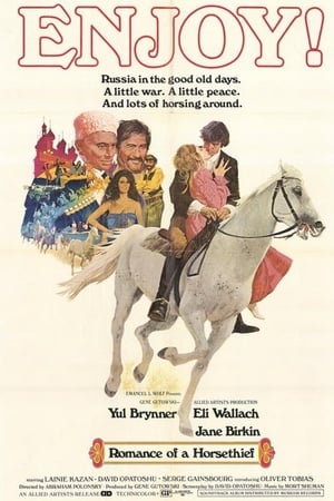 Poster Le Roman d'un voleur de chevaux 1971