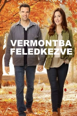 Poster Vermontba feledkezve 2017