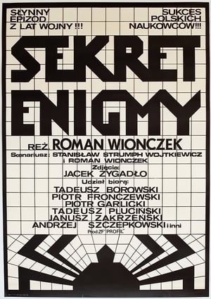 Poster Sekret Enigmy (1979)