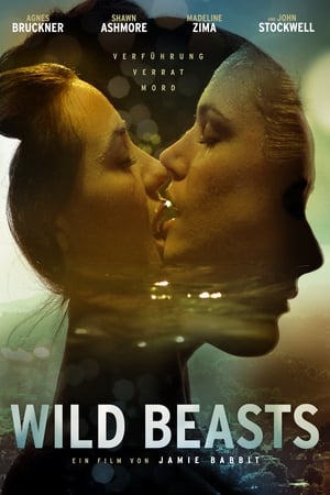 Poster Wild Beasts 2013