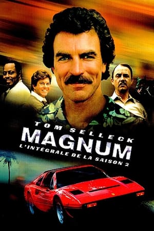 Magnum - Saison 2 - poster n°1