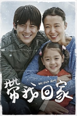 Poster 回家的路 2013