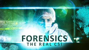 Forensics: The Real CSI