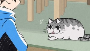 Nights With a Cat: 1×8