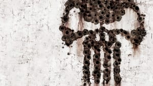 Punisher: Strefa wojny 2008 zalukaj film online