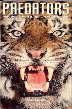 Poster Predators of the Wild: Tiger (1993)