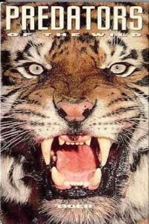 Poster Predators of the Wild: Tiger 1993