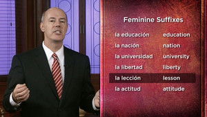 Definite Articles and Nouns