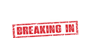 The Bad Guys: The Series