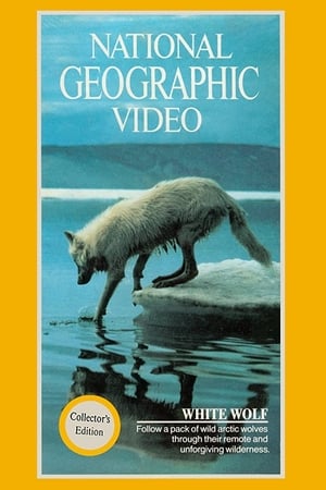 Poster National Geographic: White Wolf (1988)