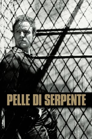 Pelle di serpente 1960