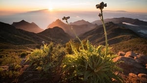 Les îles Canaries