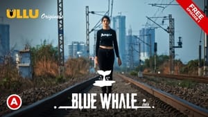 Blue Whale: 1×1