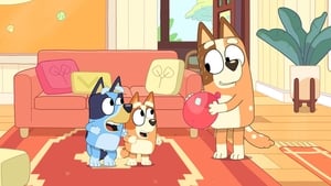 Bluey Season 1 Episode 3