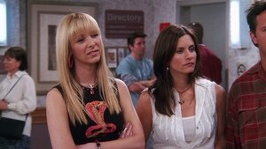 S08E23 El de cuando Rachel tiene un bebé