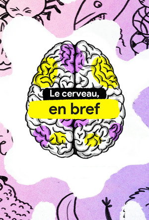 The Mind, Explained 20