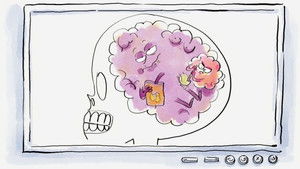 Wer nicht fragt, stirbt dumm!: 2×1