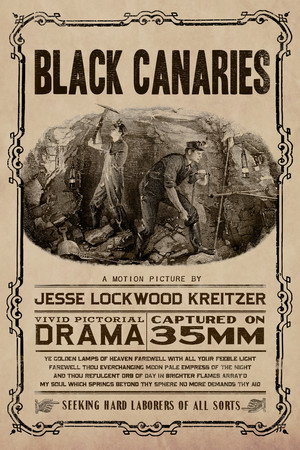 Black Canaries 8