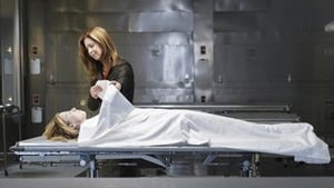 Body of Proof Pilot