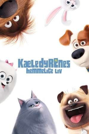 <Images posters