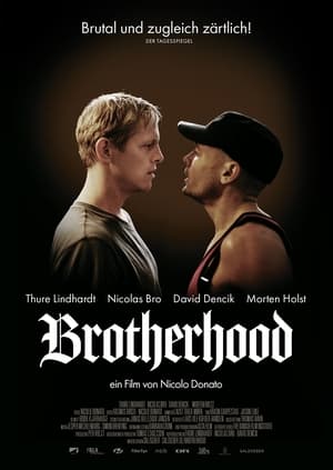 Poster Bruderschaft 2009