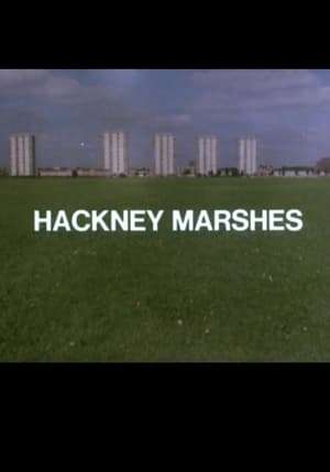 Image Hackney Marshes