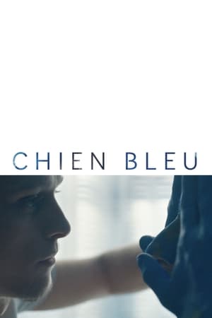 Poster Chien bleu 2018