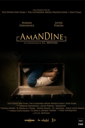 Poster Amandine (2019)