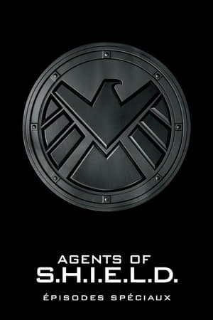 Marvel : Les Agents du S.H.I.E.L.D. Saison 1 Épisode 12