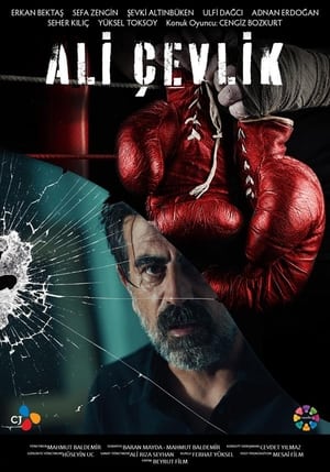 Poster Ali Çevlik 2022