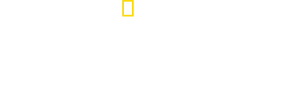 /rlbJcXYhn5V6Y0holfqiwIZPUlT.png
