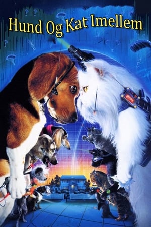 Poster Hund og kat imellem 2001