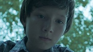 Ozark: 1×4