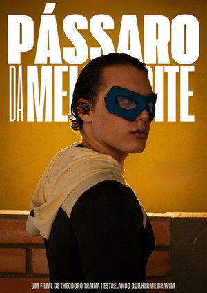 Pássaros da Meia noite 9