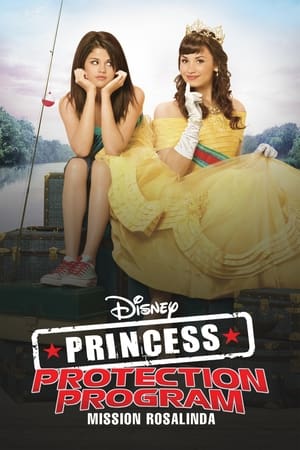 poster Princess Protection Program