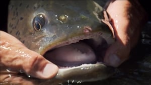 River Monsters Season 4 Episode 6