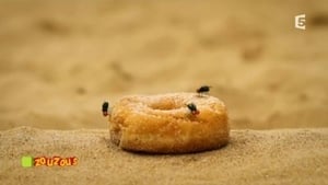Image The doughnut