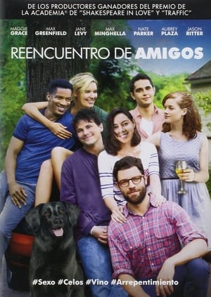 Poster Reencuentro de amigos 2014