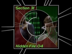 Image Section 31: Hidden File 04 (S02)