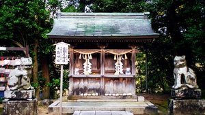 Journeys in Japan: 12×1