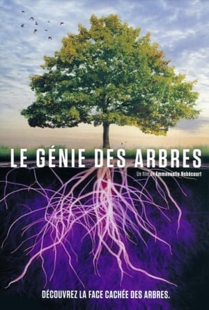 Poster di Le génie des arbres