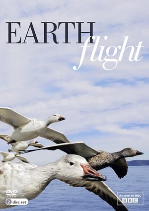 Poster Earthflight 2013