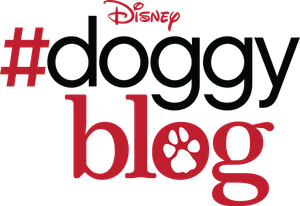 #doggyblog